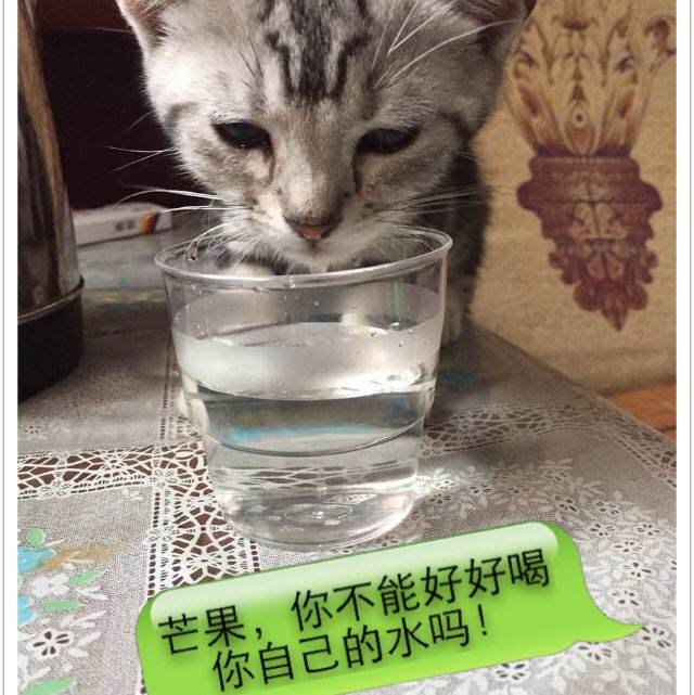 制作计算机等级考试证书多少钱